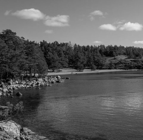 Strandkanten på Ingarö
